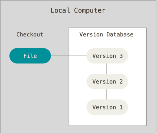 Local Version Control System. Credit